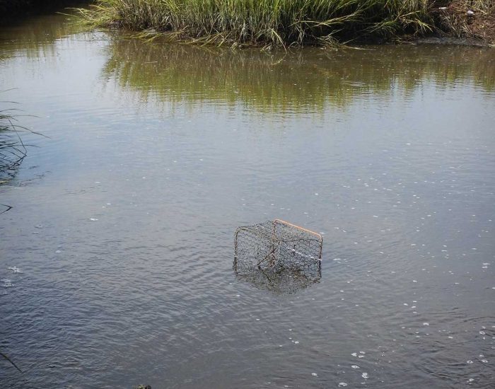 Ghost trap in the water.